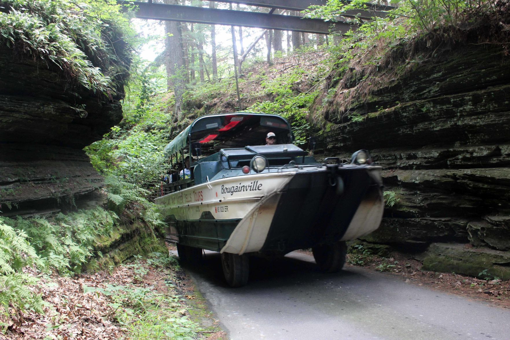 Original Wisconsin Ducks on Red Bird Gorge